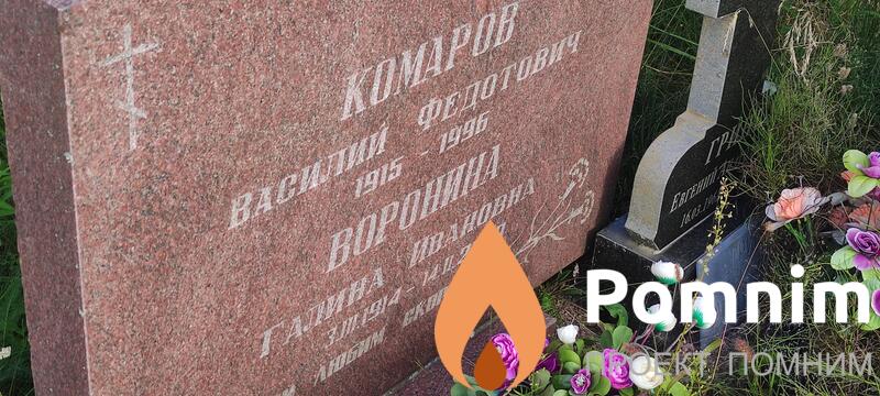 Комаров Василий Федотович
