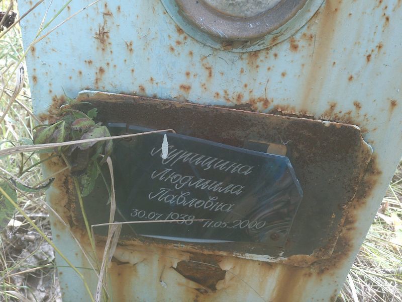 Курицина