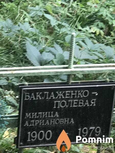 Баклаженко Полевая Милица