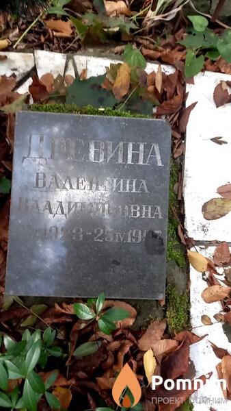 Древина Валентина Владимировна