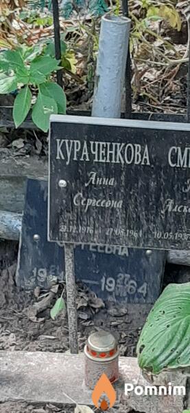 Кураченко Анна Сергеевна