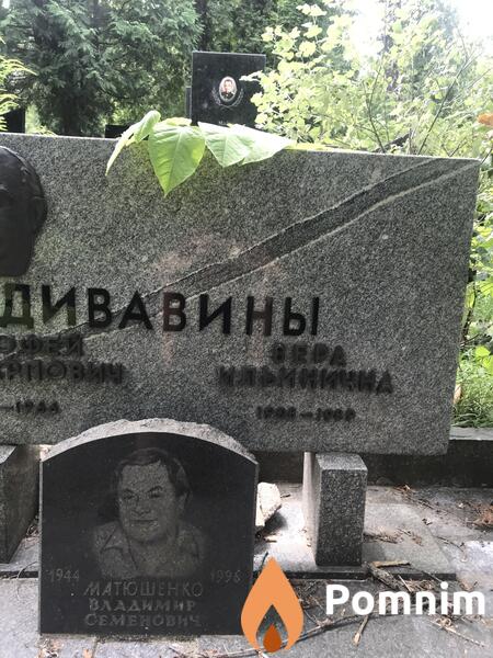 Дивавины Вера Ильична