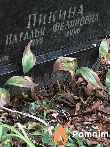 Пикина Наталия Фёдоровна