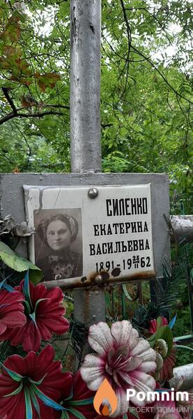 Силенко Екатерина Васильевна