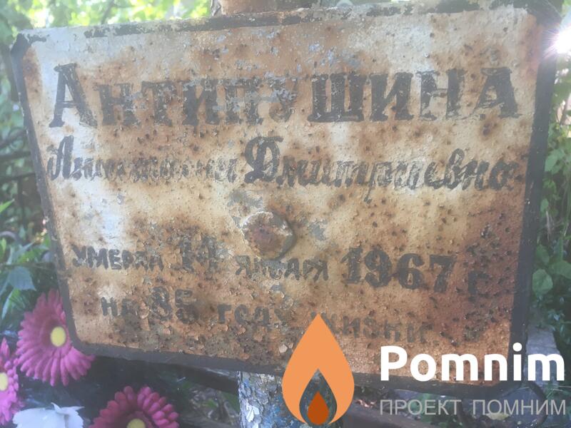 Антипушина Анастасия Дмитриевна