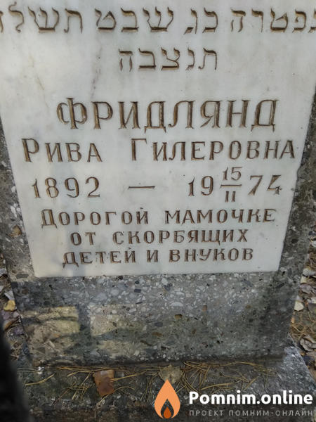 Фридлянд Рива Гилеровна