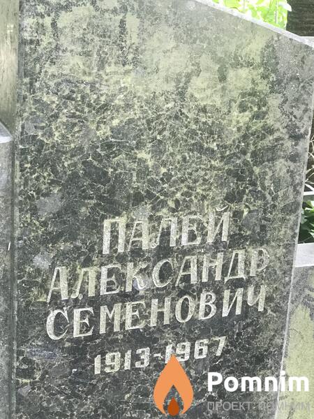 Палей Александр Семенович