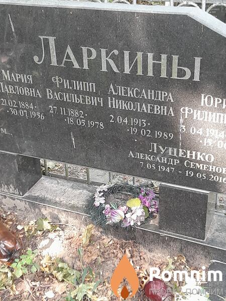 Ларкина Александра Николаевна