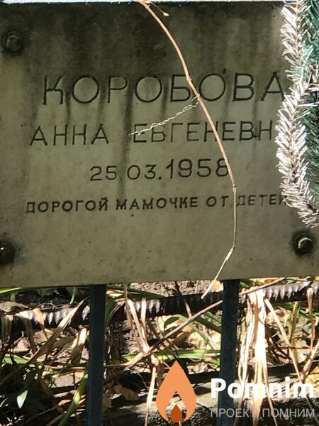 Коробова Анна Евгеньевна