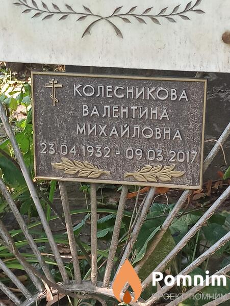 Колесникова Валентина Михайловна