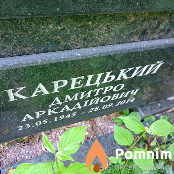 Карецкий Дмитрий Аркадиевич