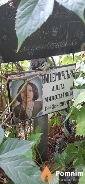 Вишемирская Алла Николаевна