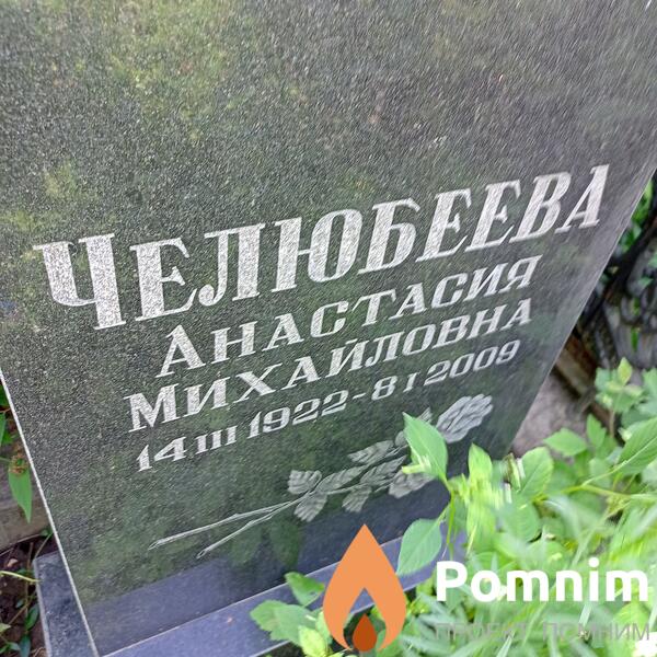 Челюбеева Анастасия Михайловна