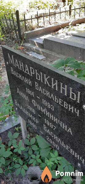 Мандрыкины Василий Васильевич