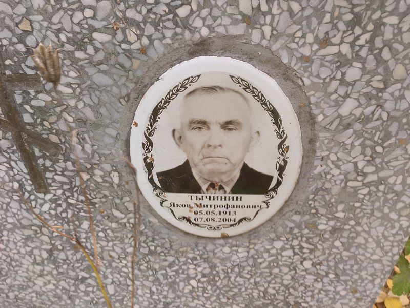 Тычинин