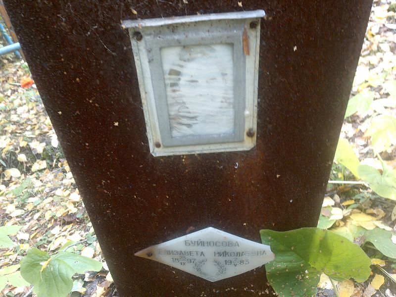 Буйносова