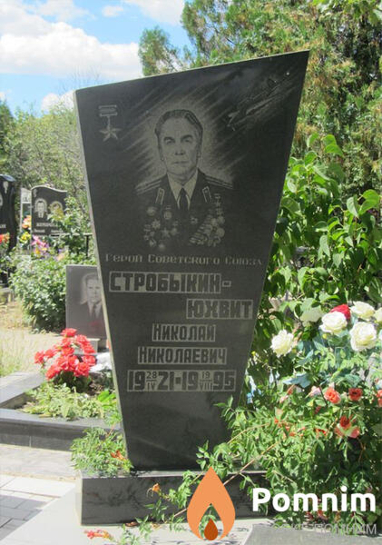 Стробыкинюхвит Николай Николаевич