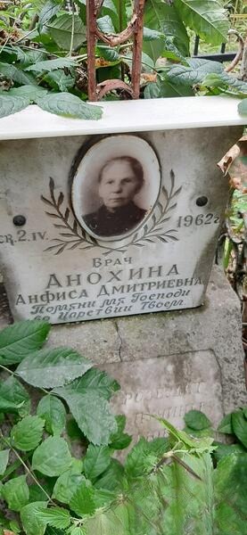 Анохина Анфиса