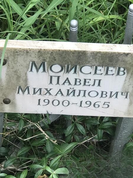 Моисеев Павел
