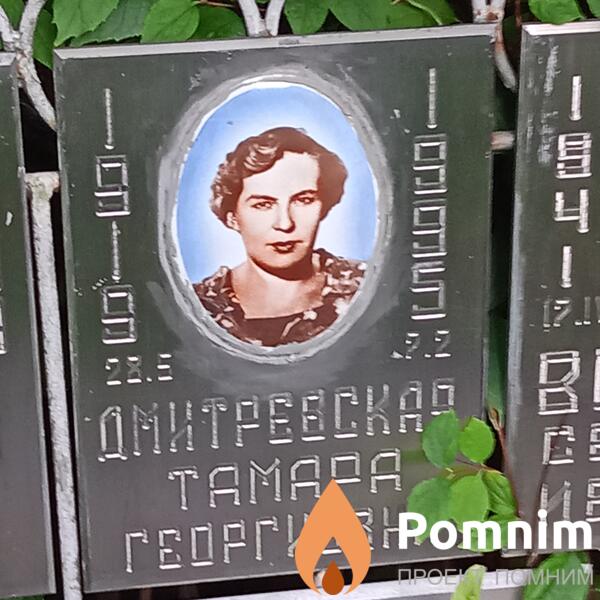 Дмитриевская Тамара Георгиевна