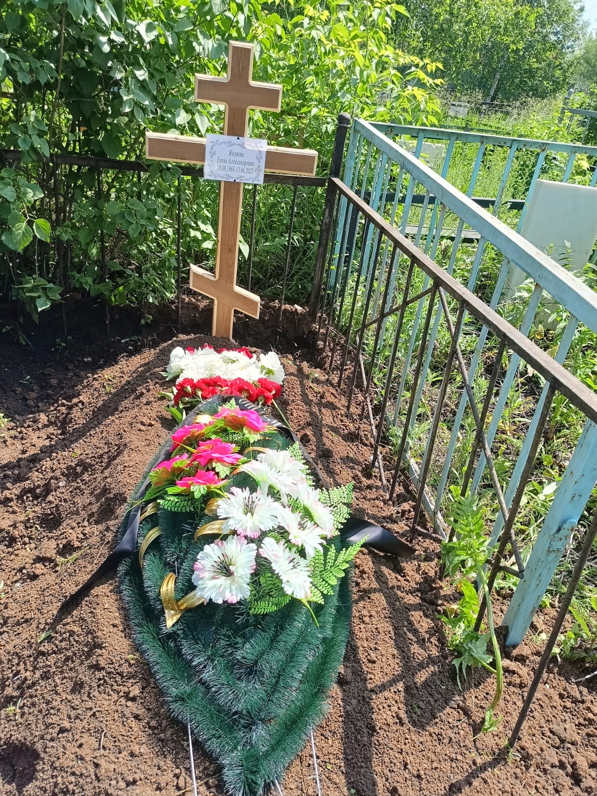 Жидяева Елена Александровна