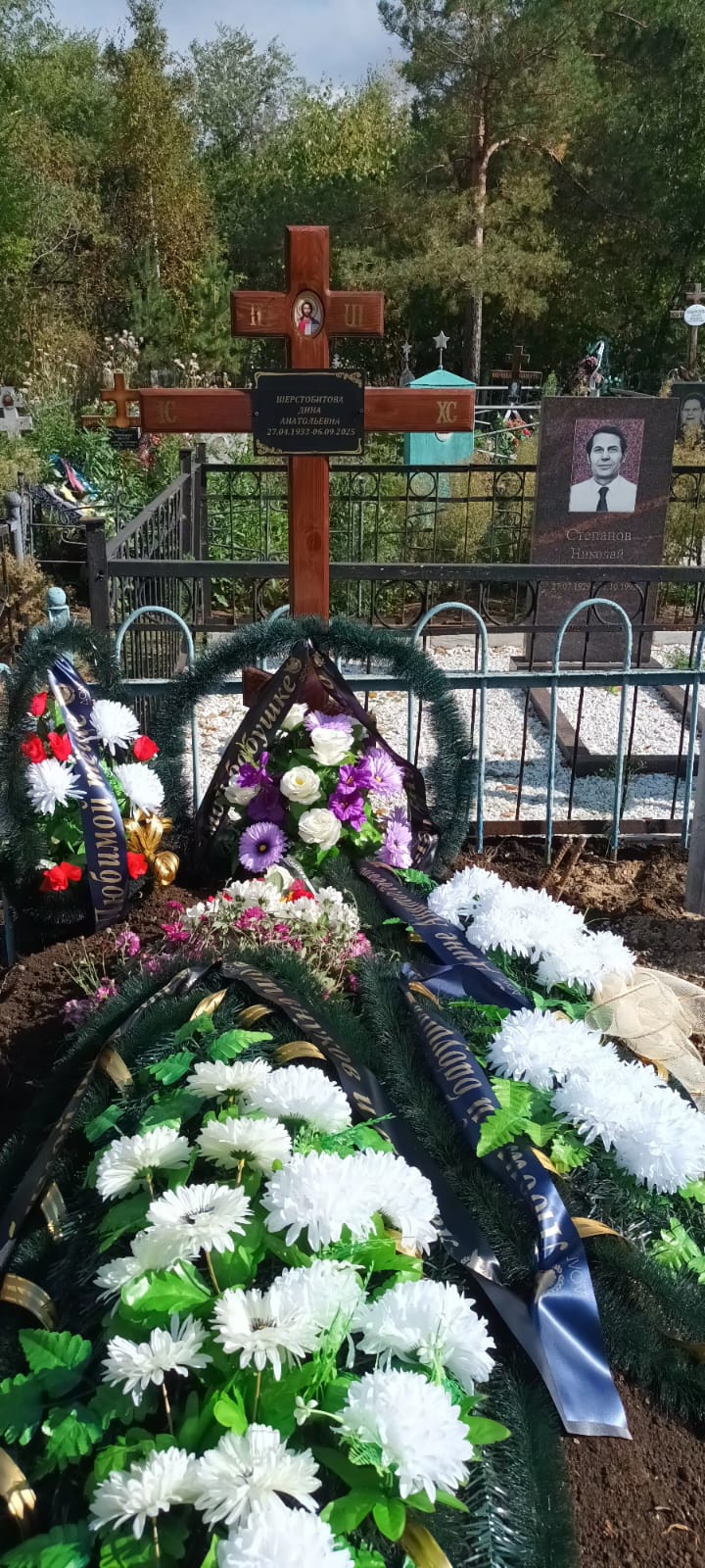 Шерстобитова Дина Анатольевна