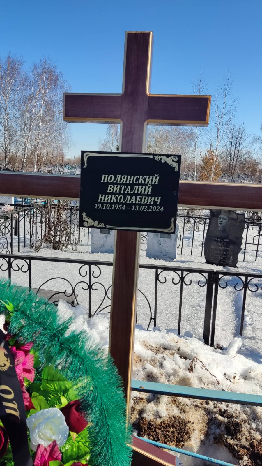 Полянский Виталий Николаевич