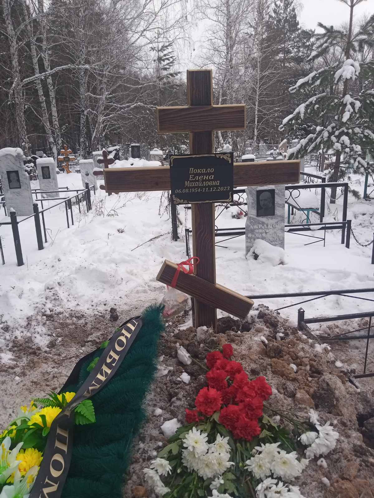 Покало Елена Михайловна