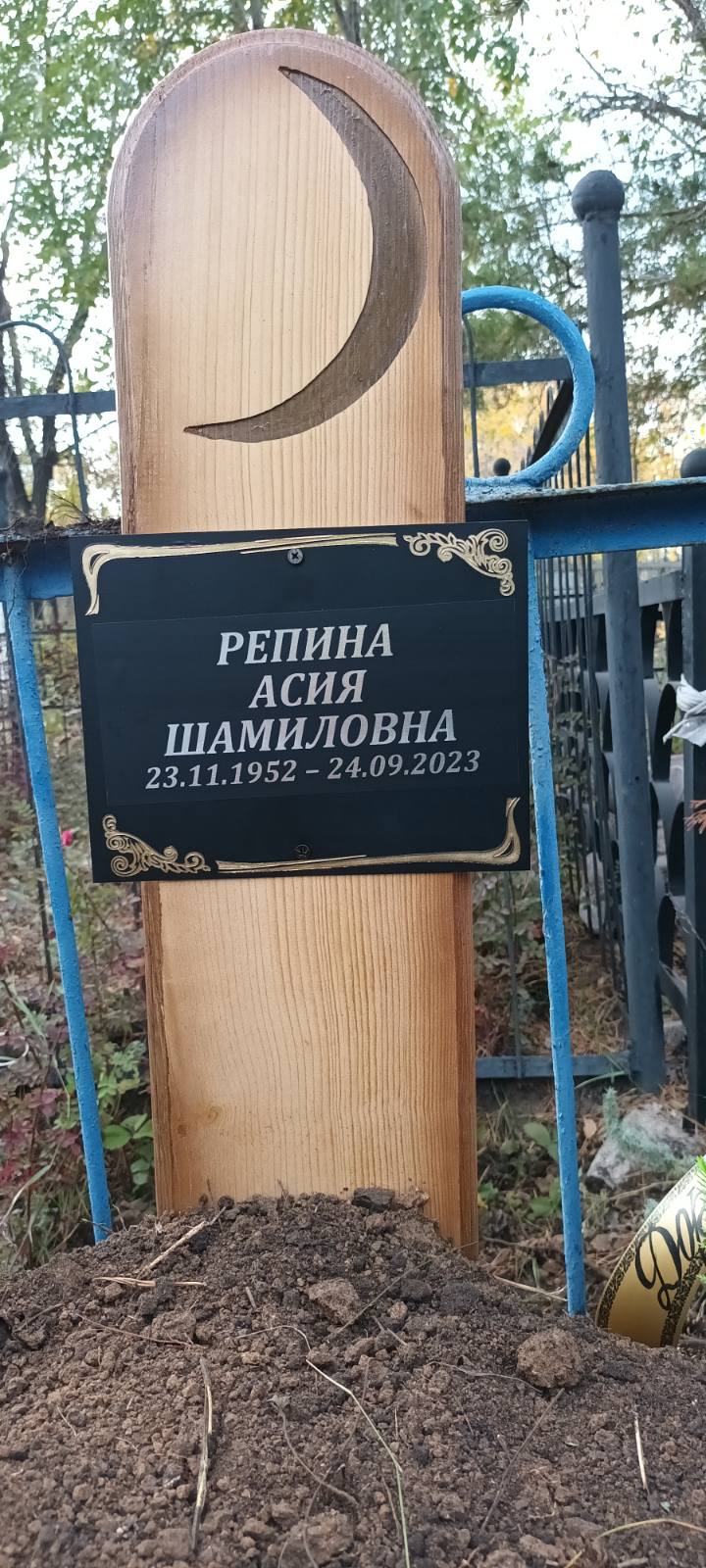 Репина Асия Шамиловна