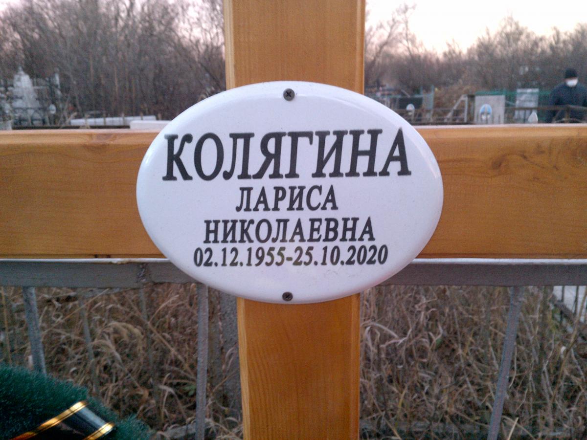 Колягина Лариса Николаевна