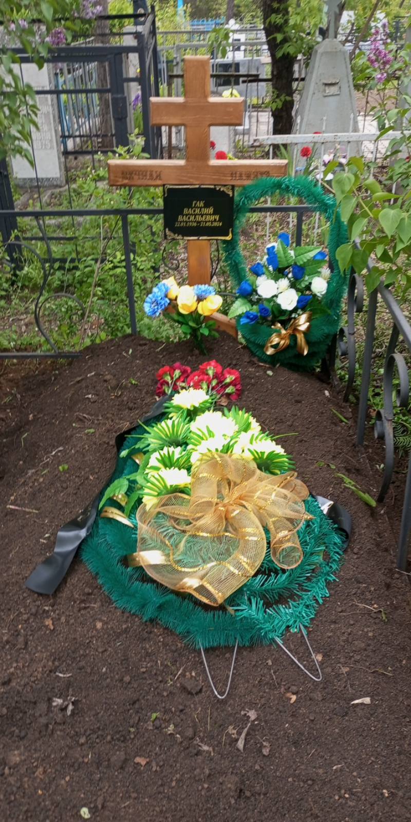 Гак Василий Васильевич