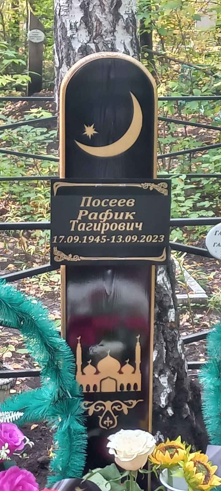 Посеев Рафик Тагирович