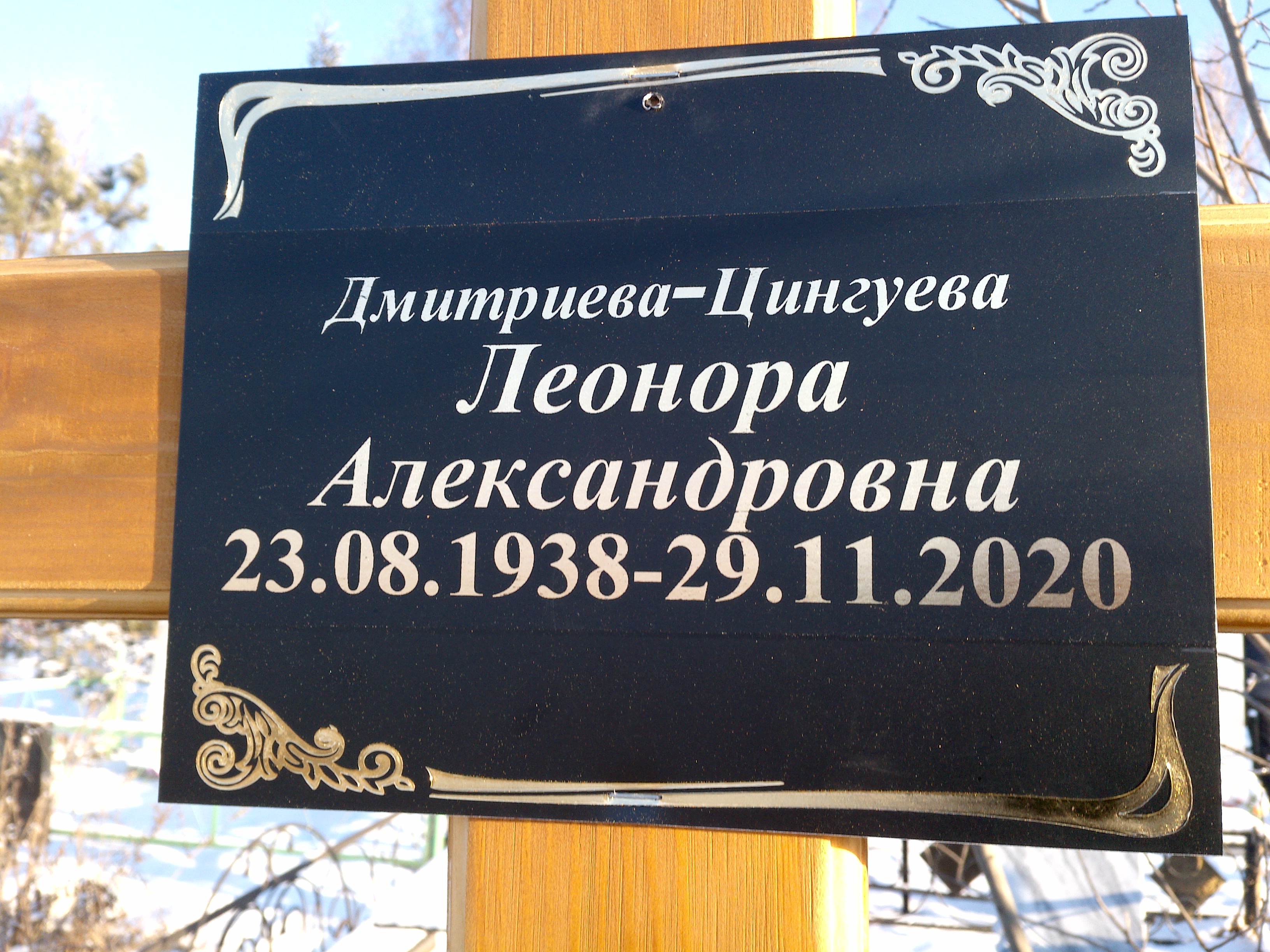 ДмитриеваЦингуева Леонора Александровна