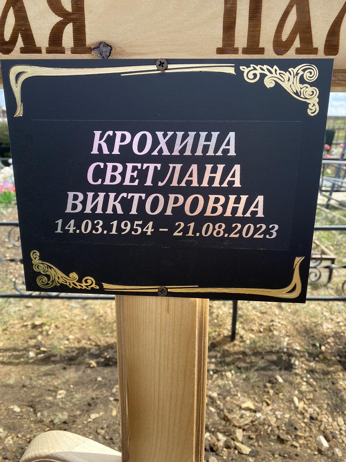 Крохина Светлана Викторовна
