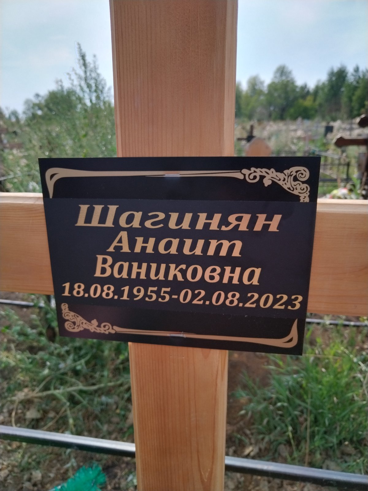 Шагинян Анаит Ваниковна