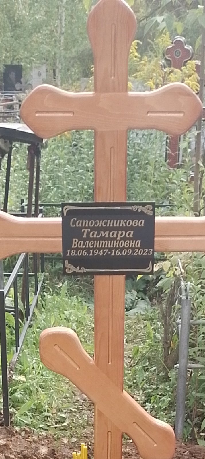 Сапожникова Тамара Валентиновна