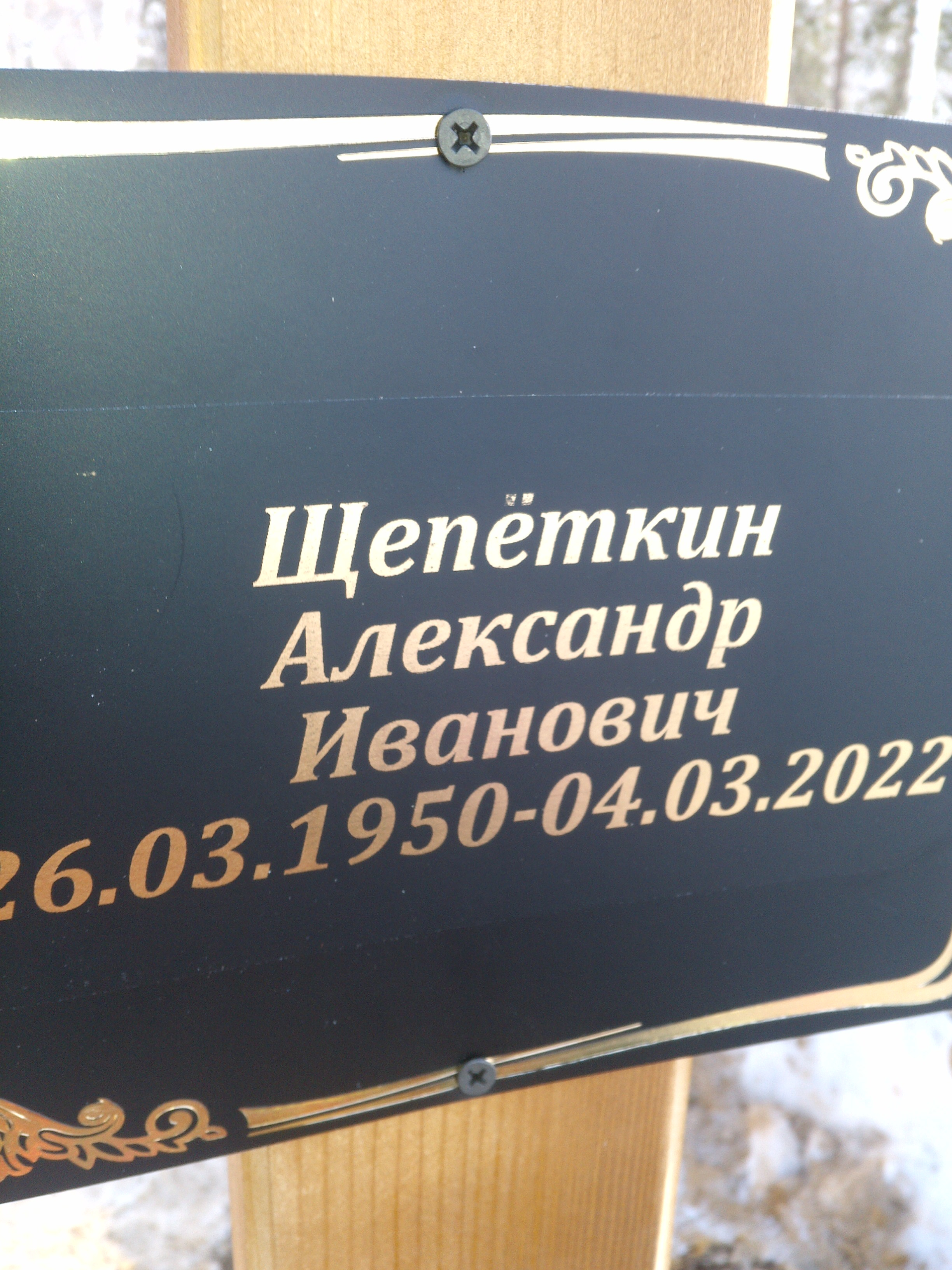 Щепеткин Александр Иванович