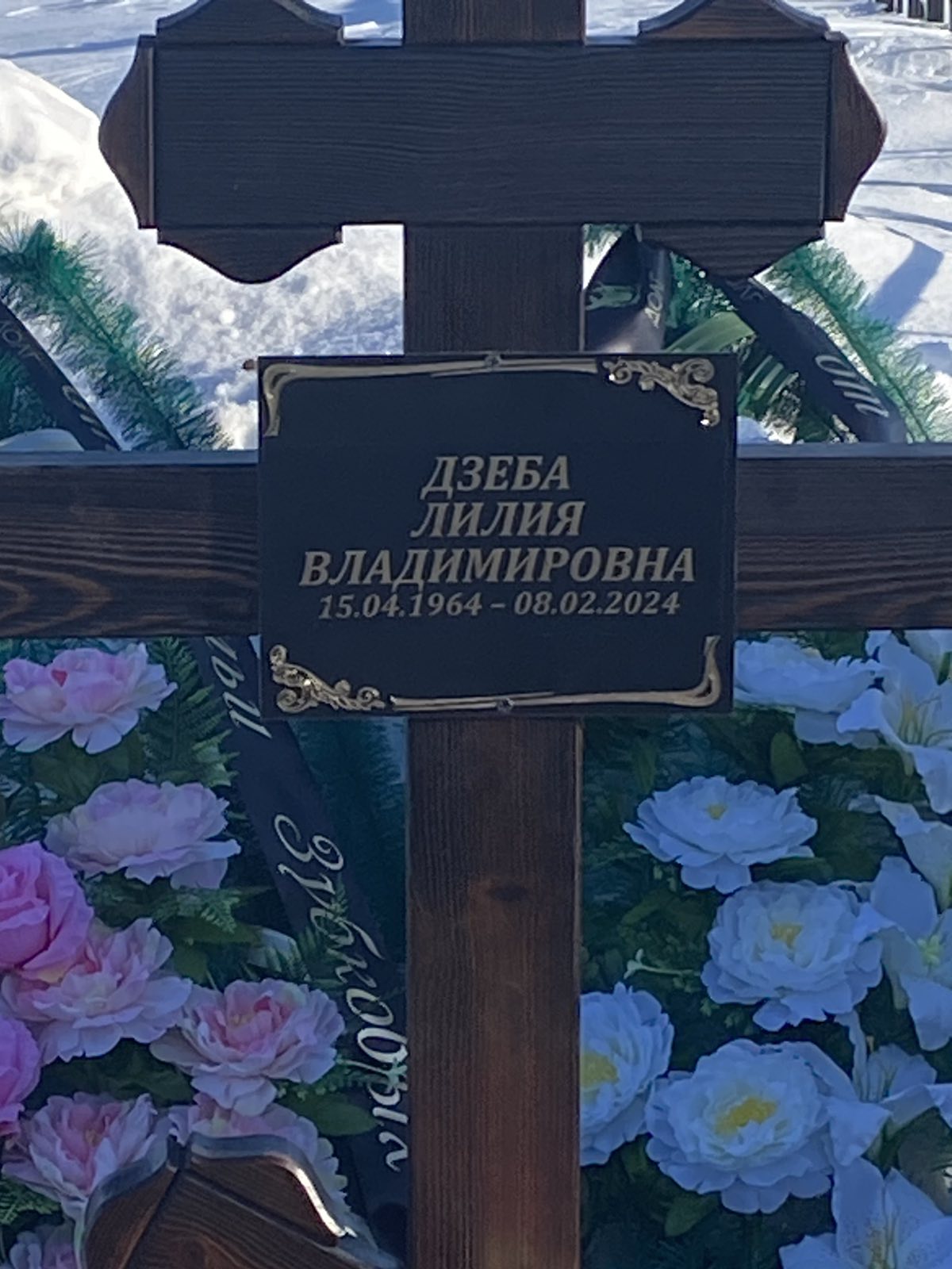 Дзеба Лилия Владимировна