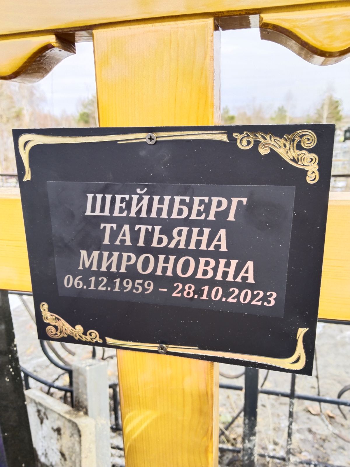 Шейнберг Татьяна Мироновна