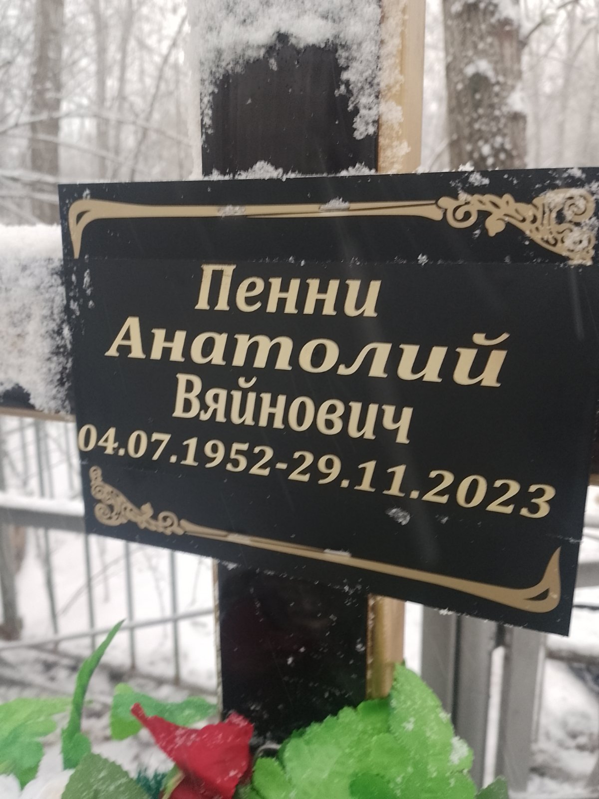 Пенни Анатолий Вяйнович