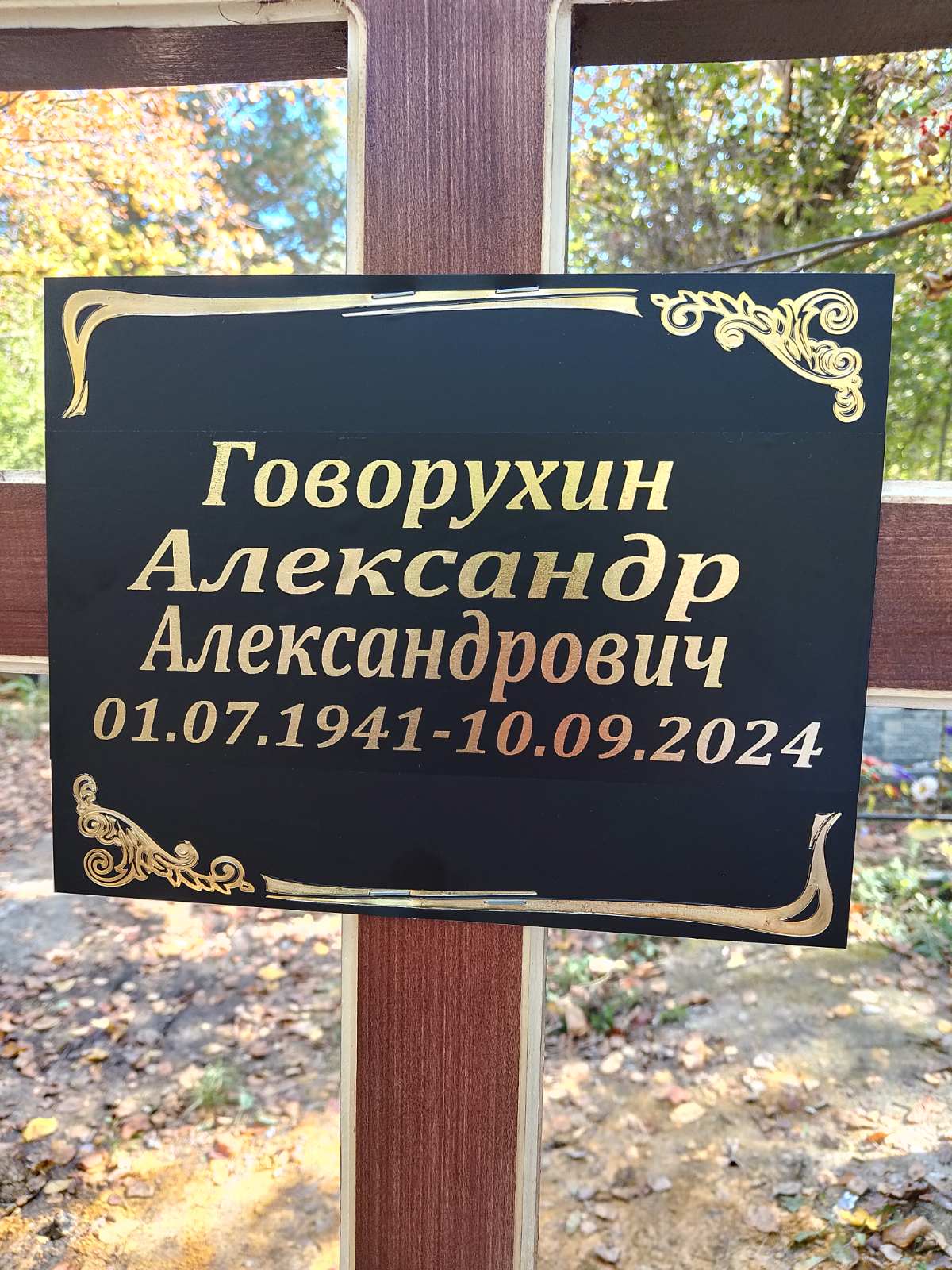 Говорухин Александр Александрович