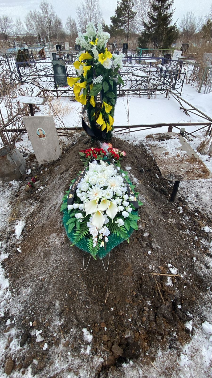 Толочко Елена Федоровна