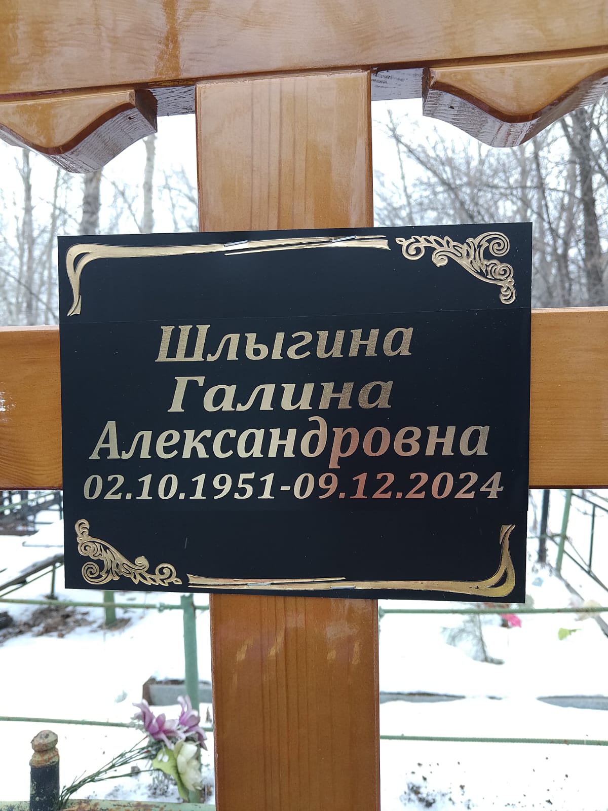 Шлыгина Галина Александровна