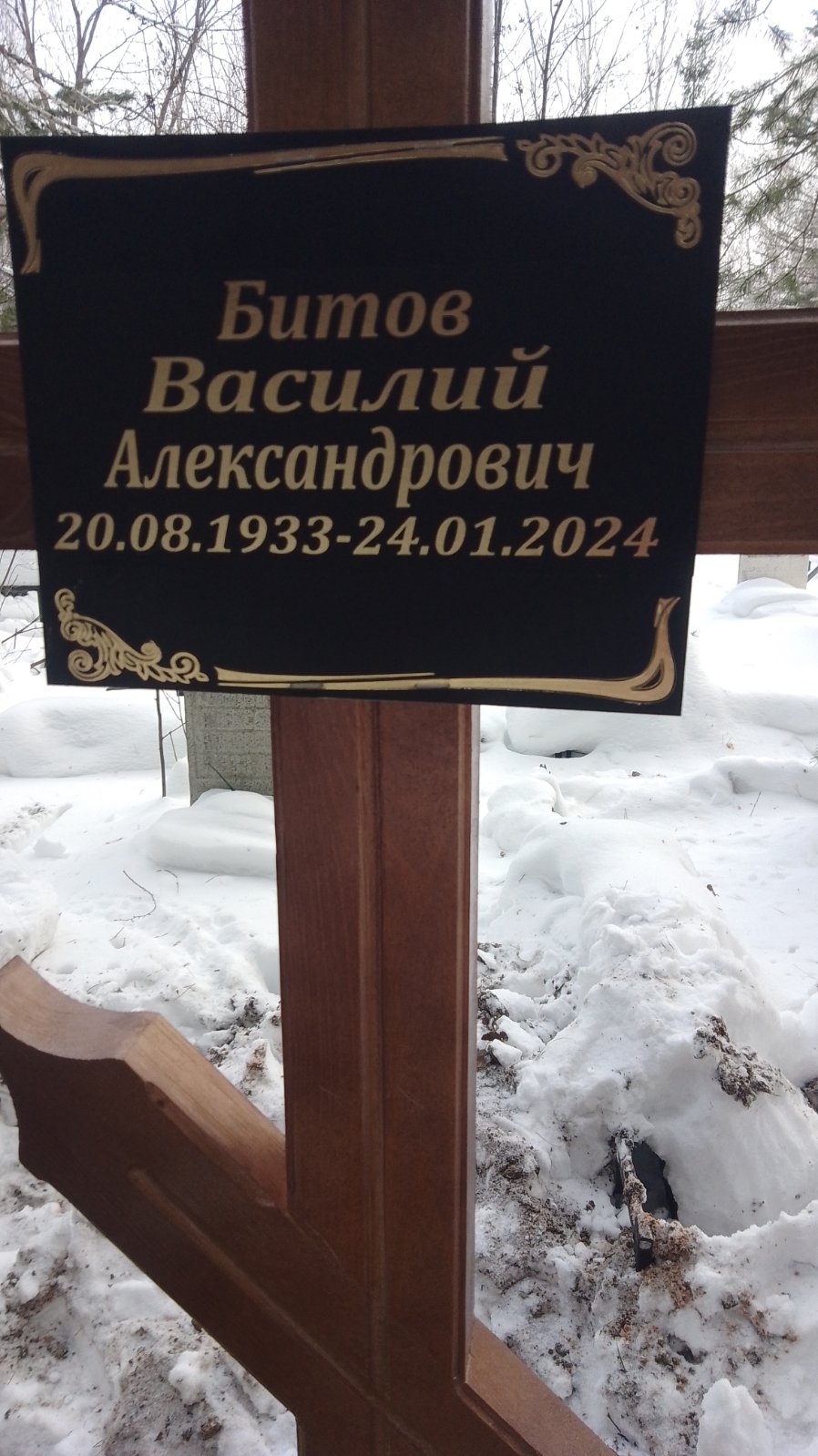 Битов Василий Александрович