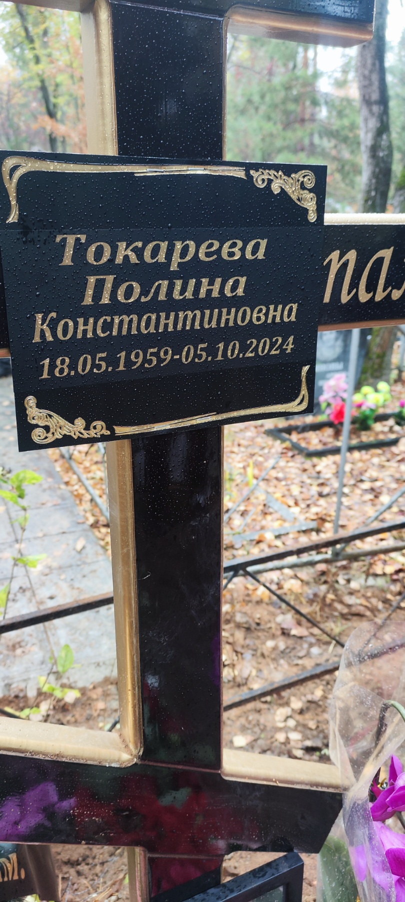 Токарева Полина Константиновна