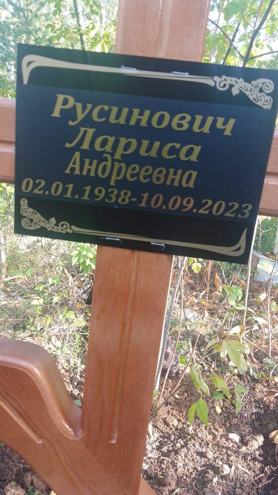 Русинович Лариса Андреевна