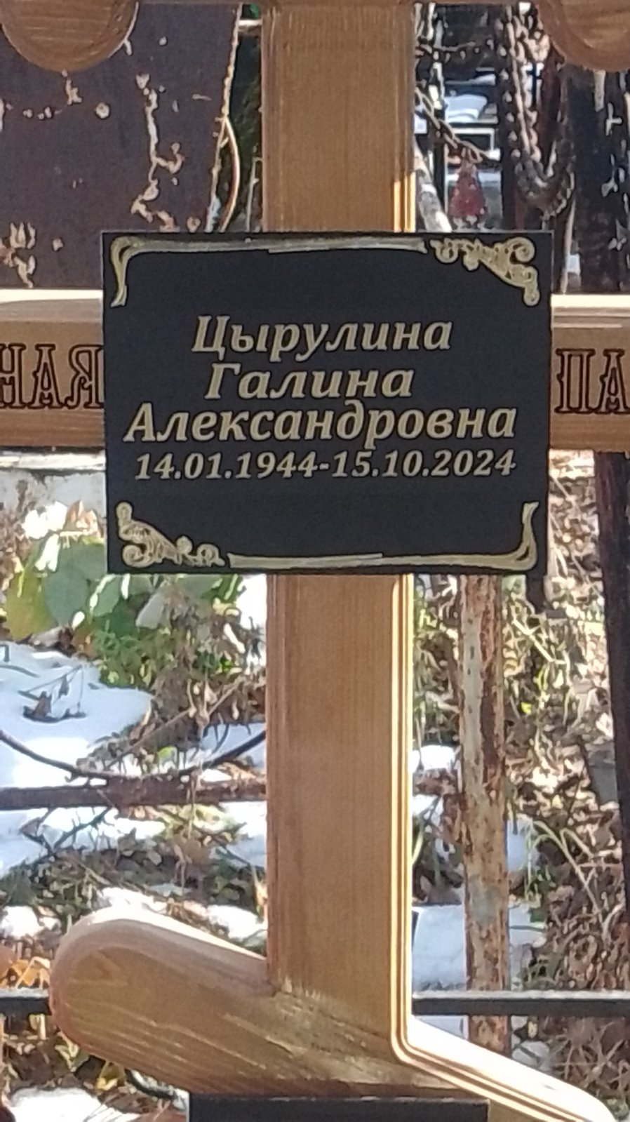 Цырулина Галина Александровна