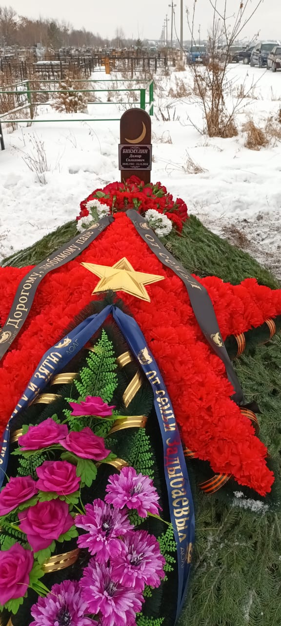 Бикмулин Дамир Салихович