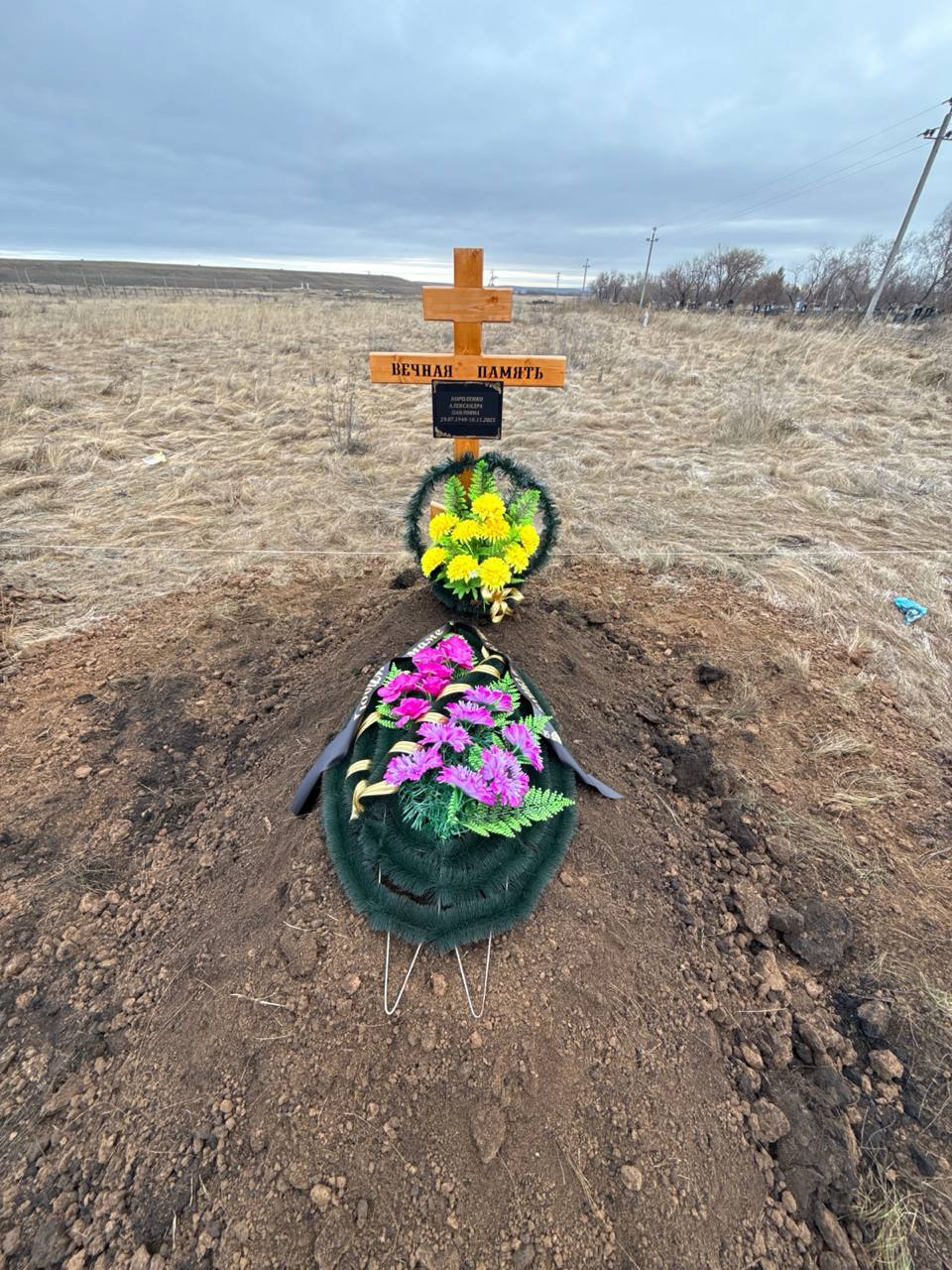 Короленко Александра Павловна
