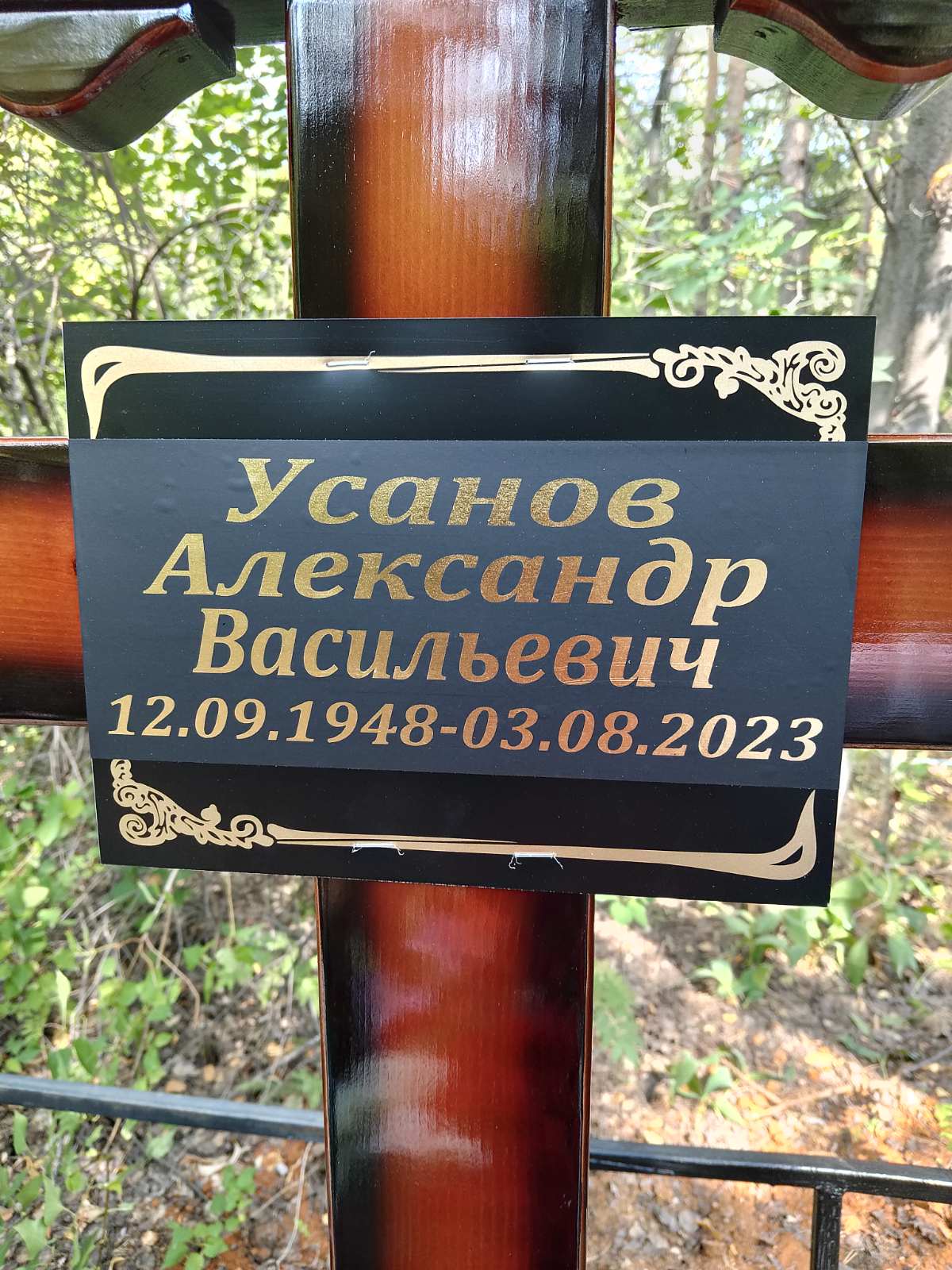 Усанов Александр Васильевич